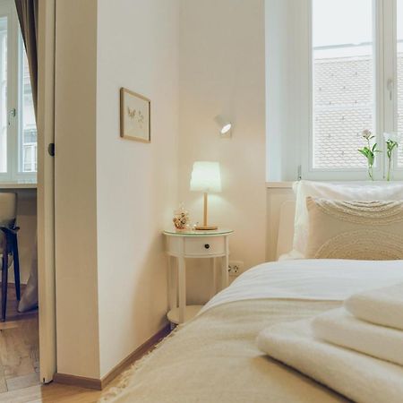 Stylish Apartment In Historical Center Ljubljana Dış mekan fotoğraf