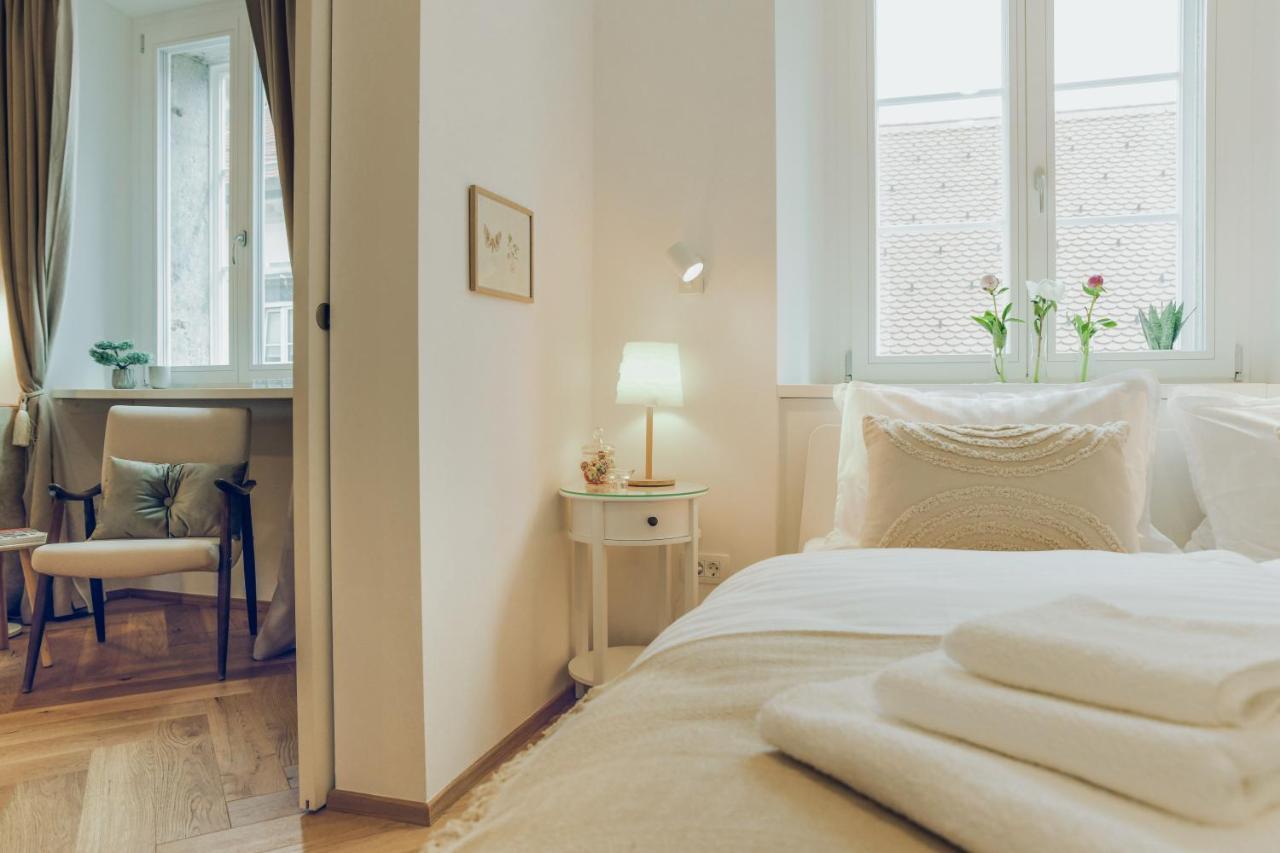 Stylish Apartment In Historical Center Ljubljana Dış mekan fotoğraf